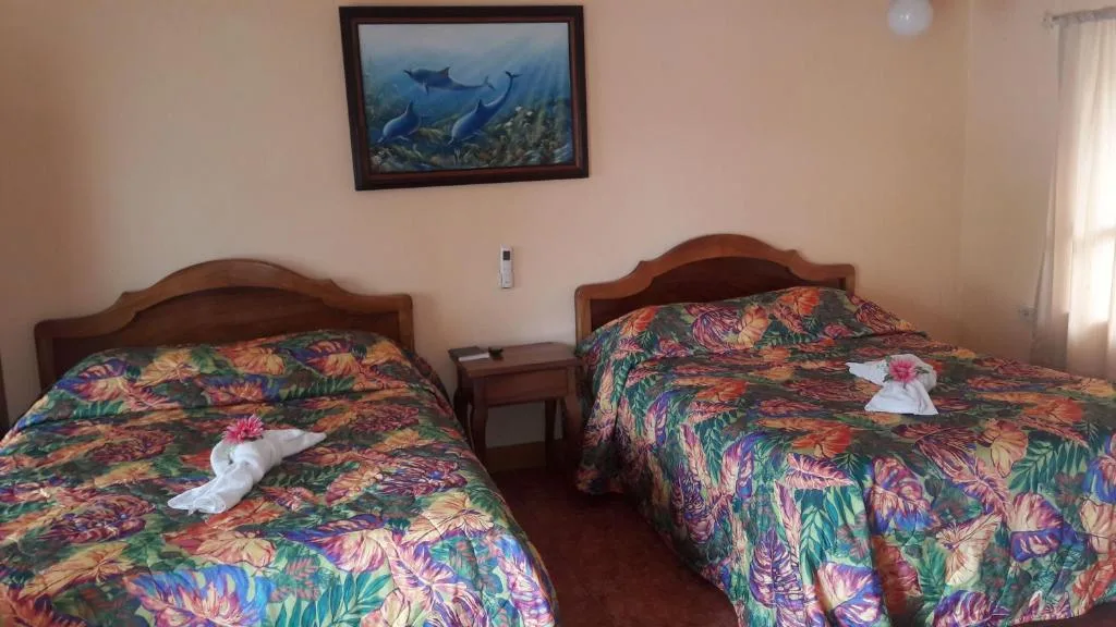 Cabinas Doña Alicia — 5