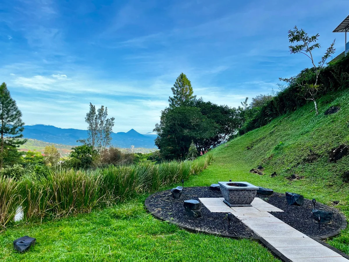 Sweet jungle — 4