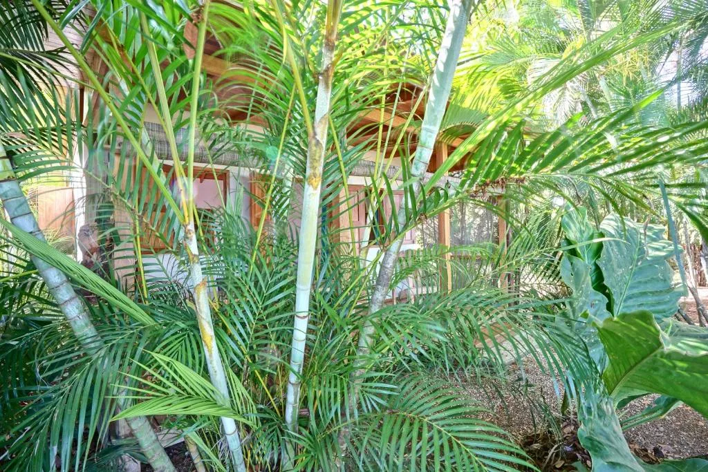 Calamocha Lodge — 3