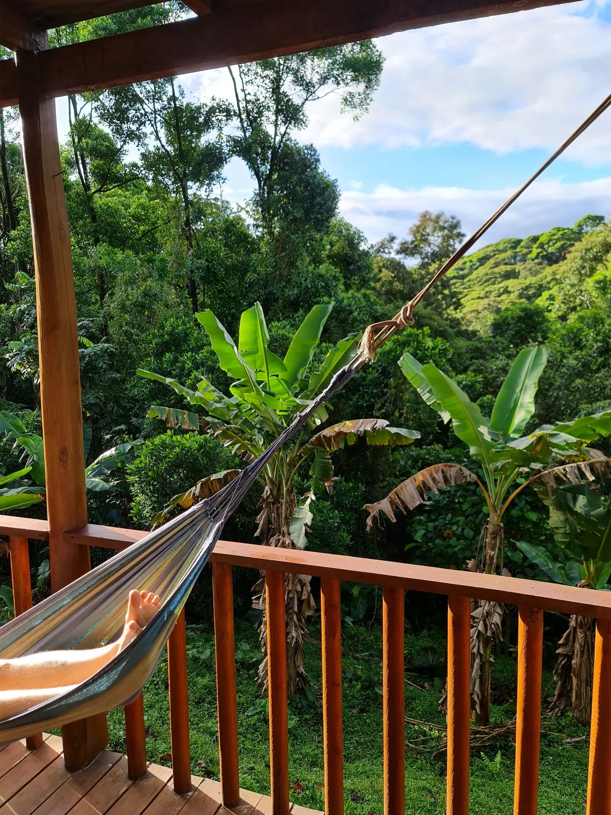 Eco Guest House