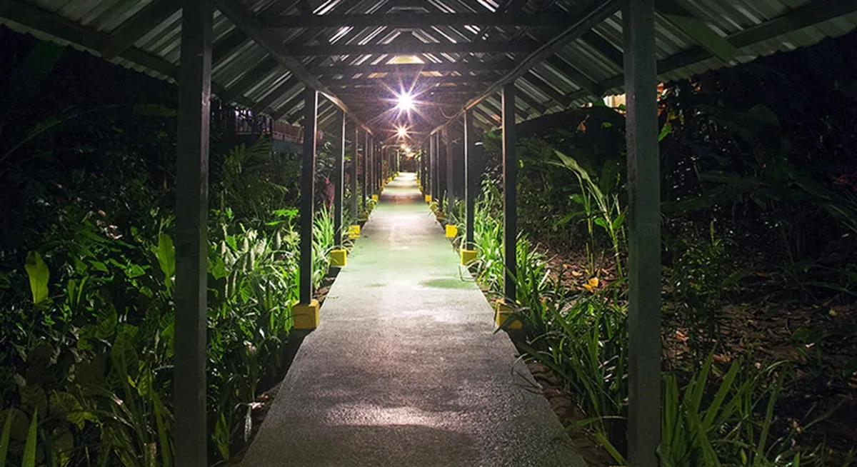 Selva Verde Lodge