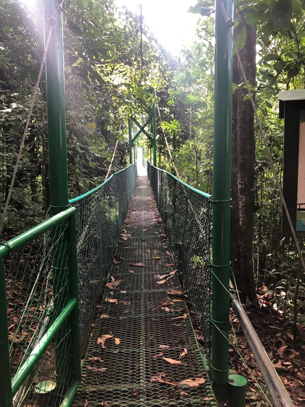Tirimbina Lodge — 3