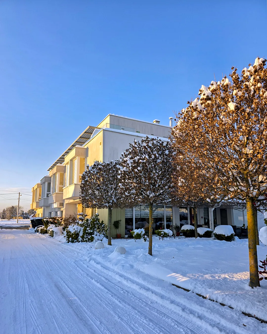 Hotel Magdalena — 4