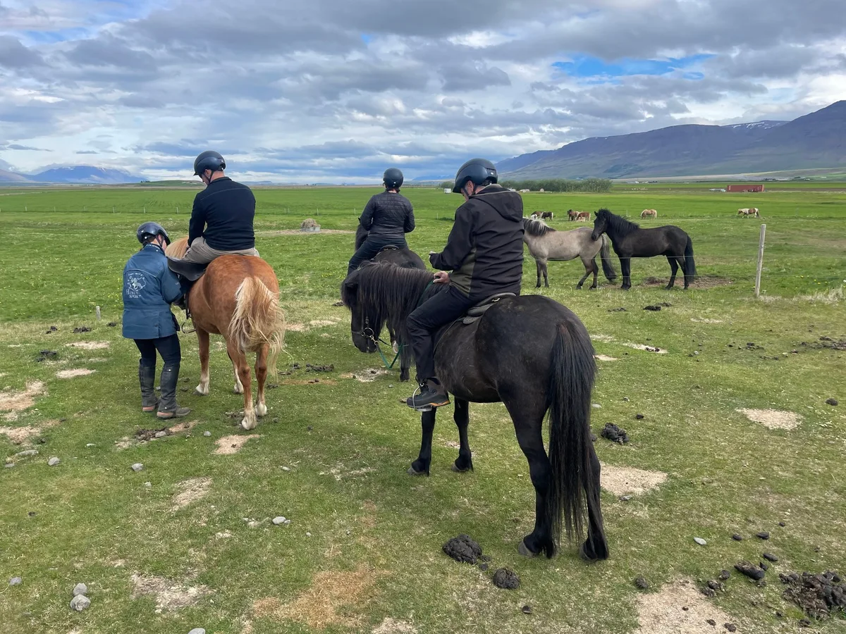 Hestasport Reception - Cottages and Riding Tours — 5