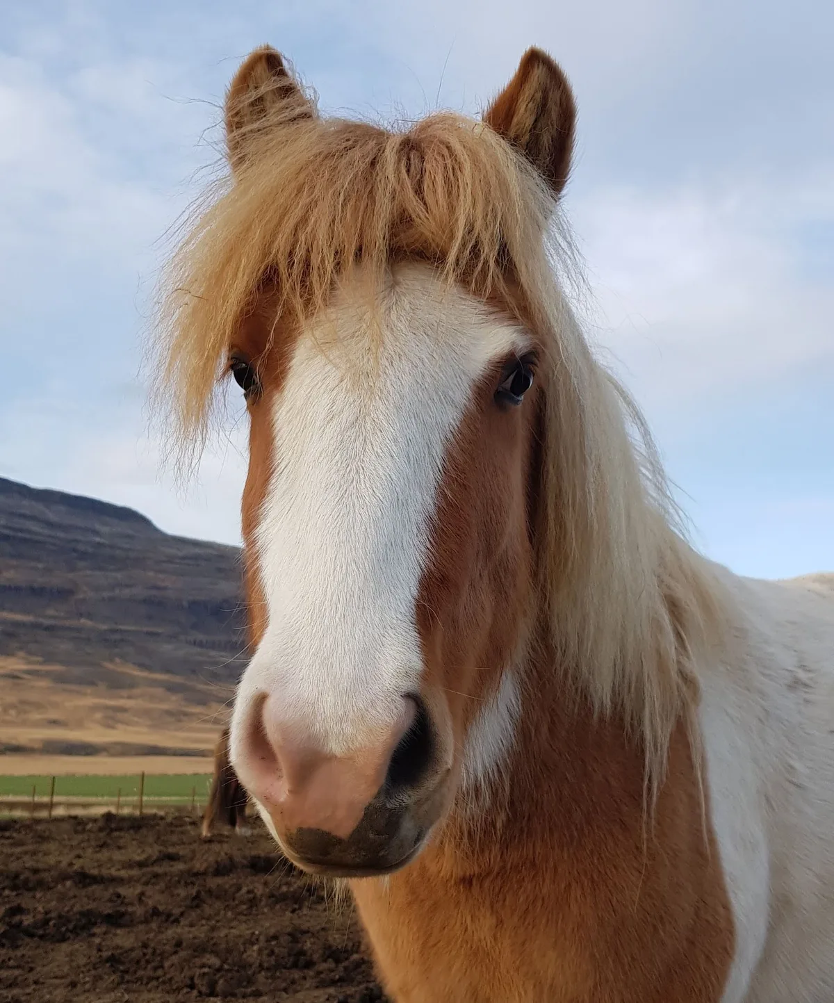 Lýtingsstaðir — 2