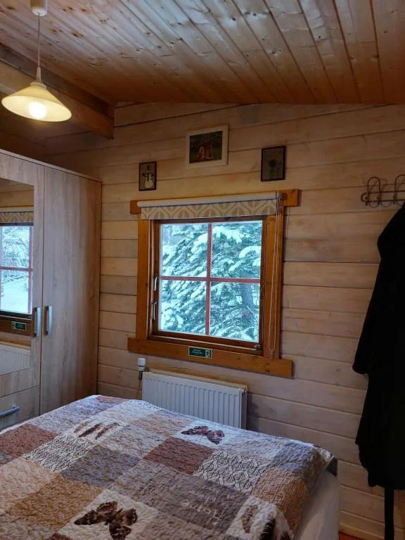 Bakkakot 1 - Cozy Cabins in the Woods — 2