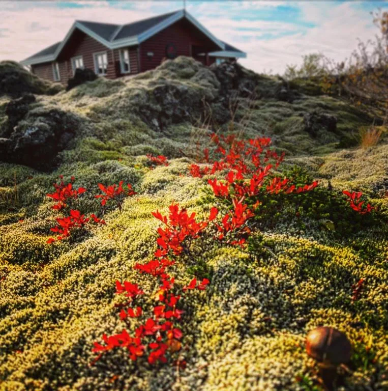 House in lava