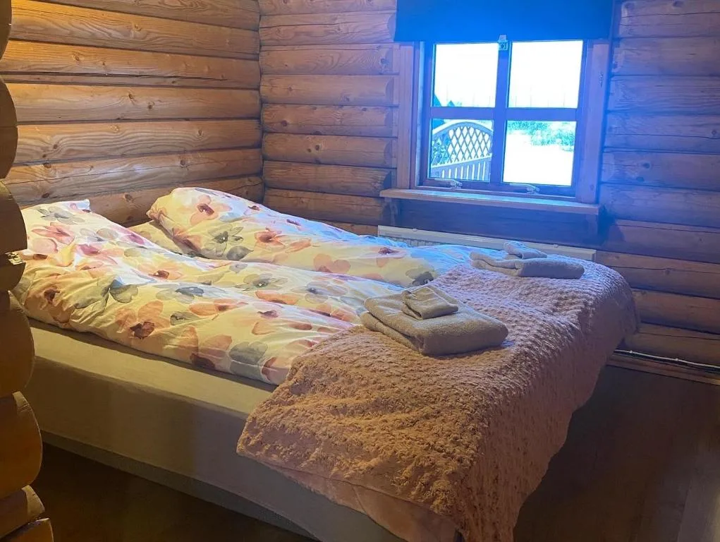 Cosy cabin with amazing view on the Geysir — 2