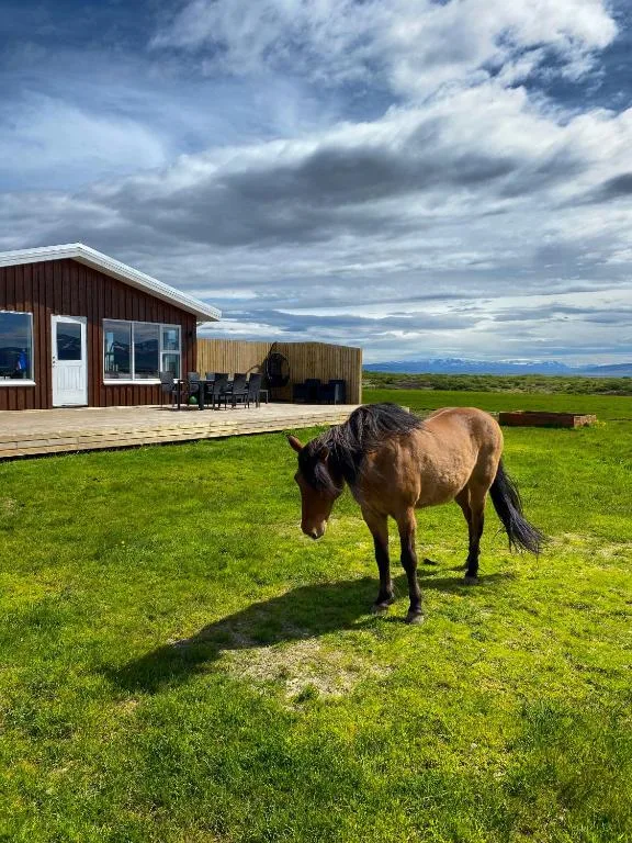 Beautiful house in the nature of West Iceland — 2