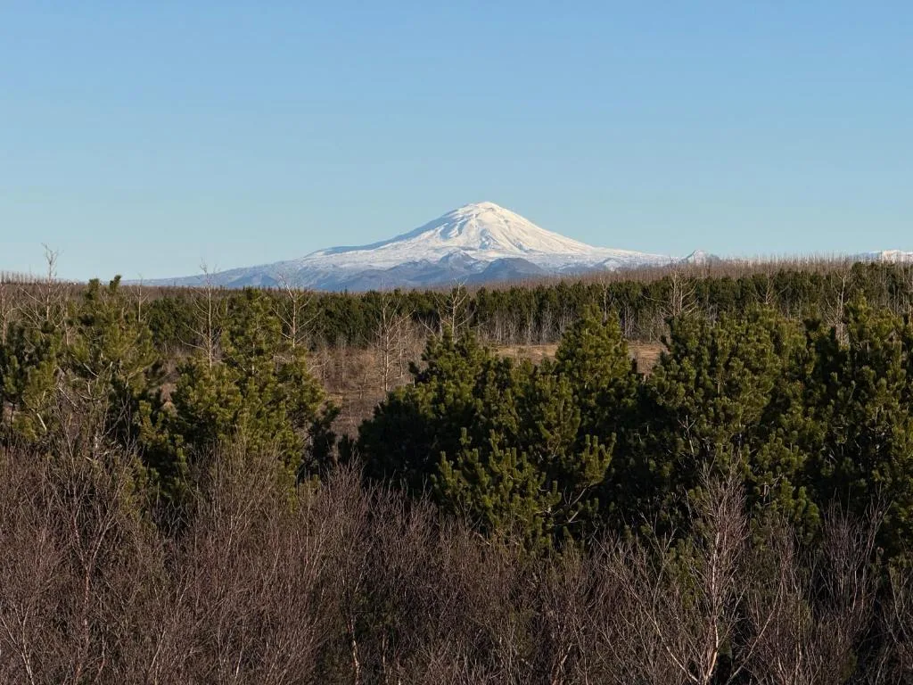 Traditional Cabins with Hekla volcano view
