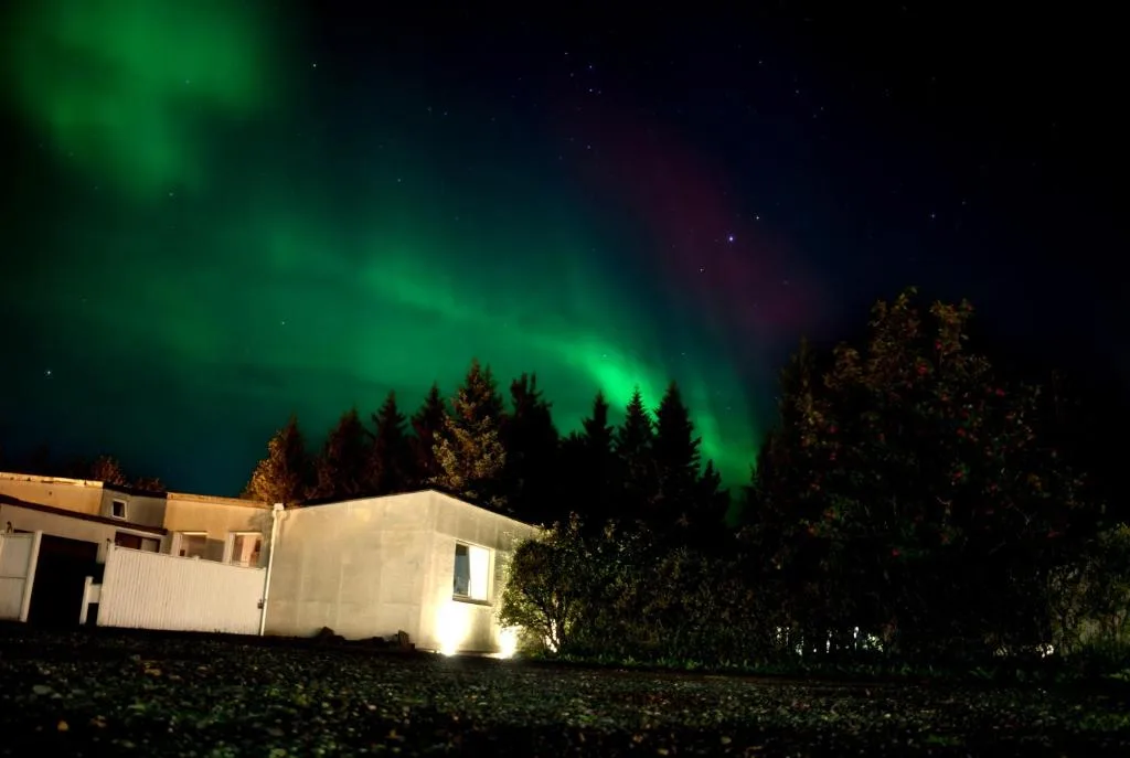 Spói Guesthouse — 5