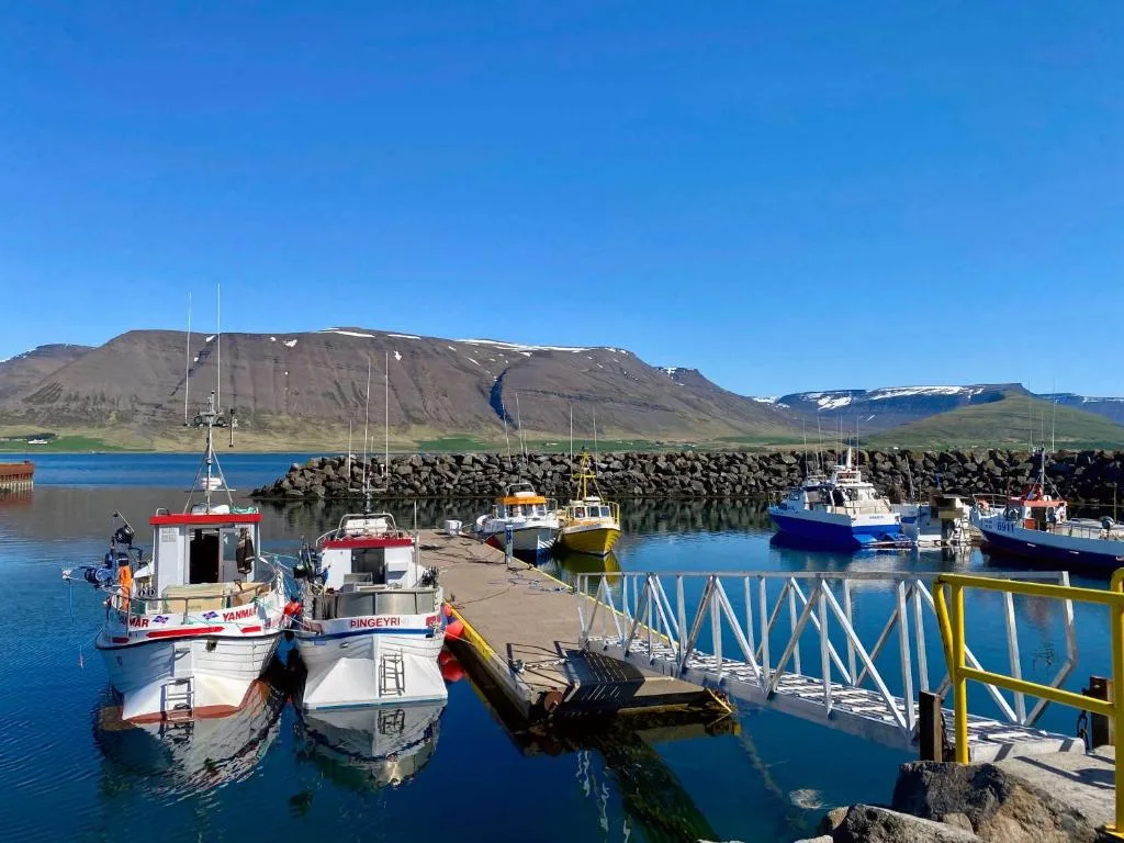 KEX Þingeyri — 5