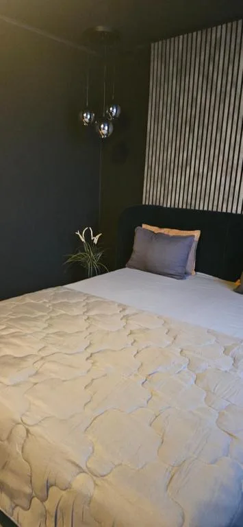 Apartamentai trumpalaikei nuomai — 5