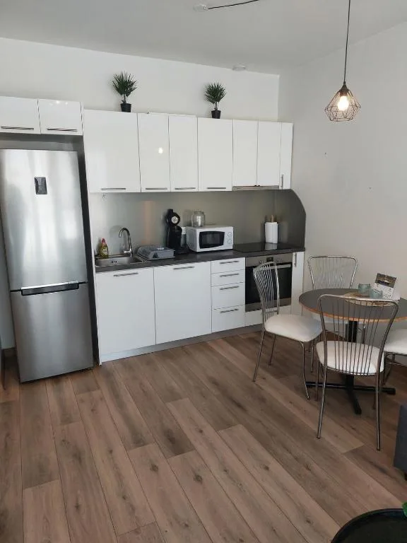 Cozy 1BR Apt Near Selfoss and Golden Circle — 4