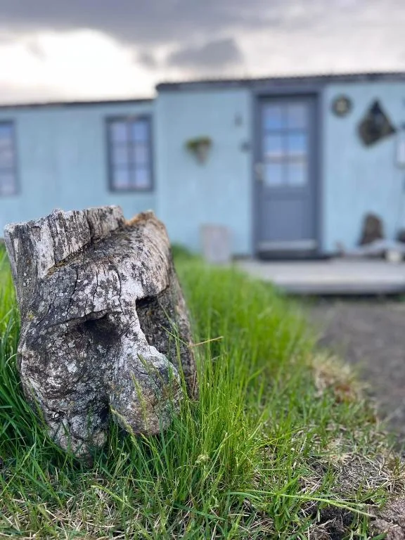 Slow Travel Mývatn - Óli's Homestay-Private house v — 2
