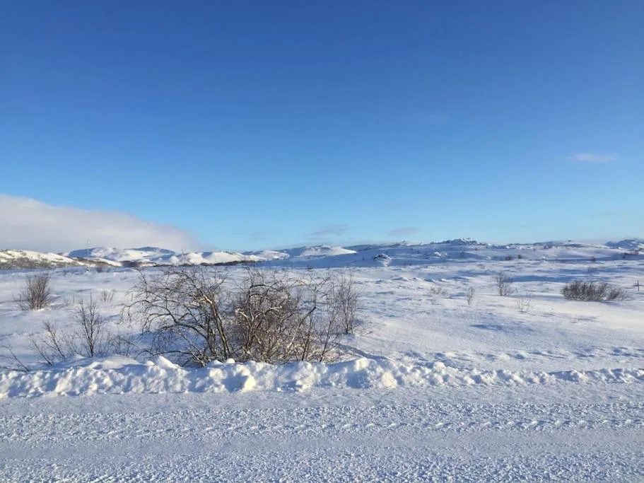 Slow Travel Mývatn - Óli's Homestay-Private house v — 5