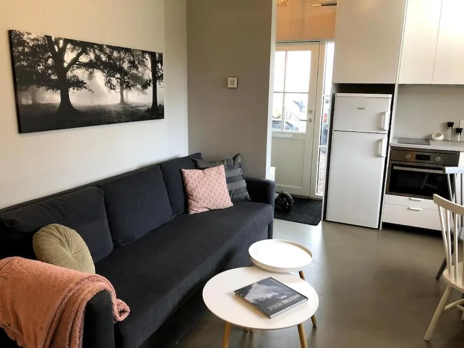 Modern Apartment Free Parking Near Reykjavik Center — 5
