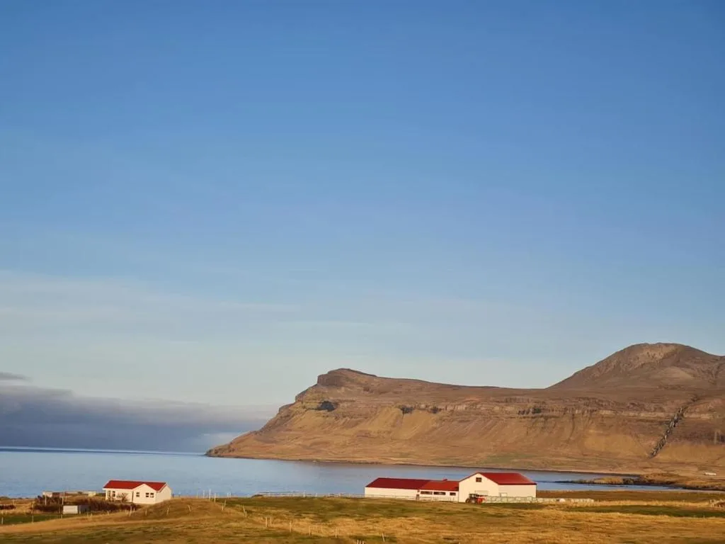 Brimilsvellir Cottage — 4