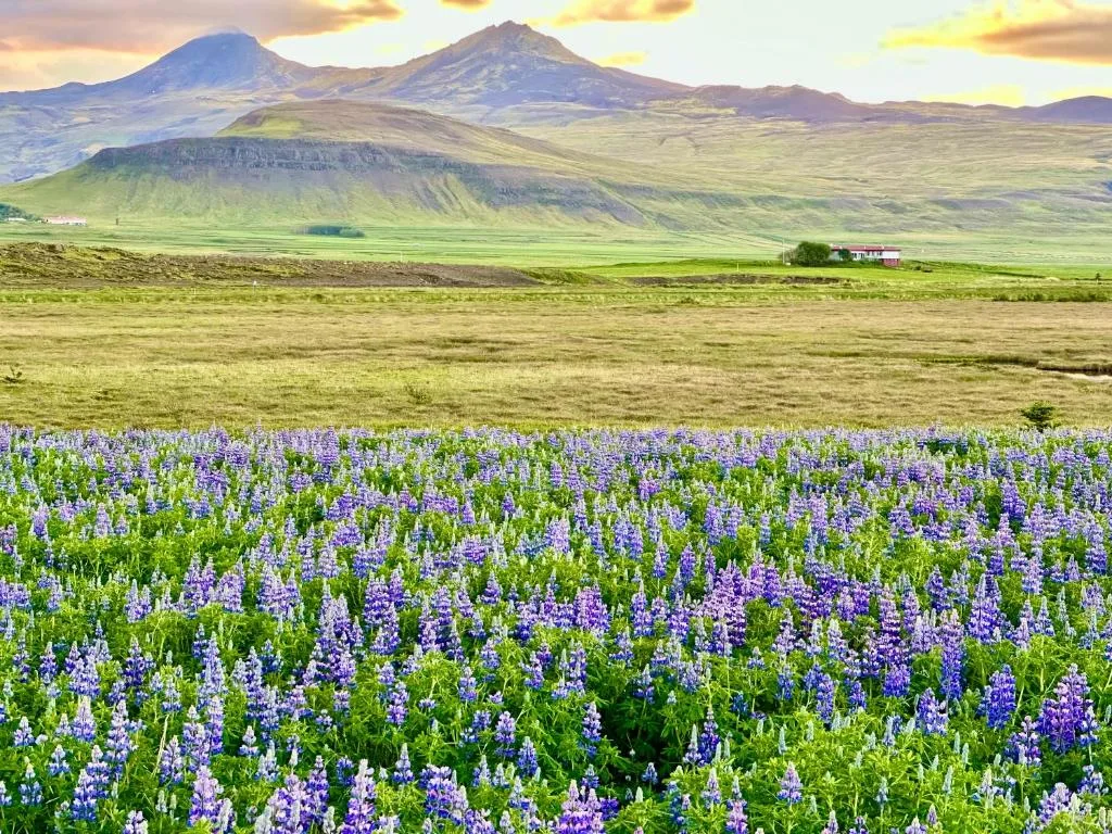 Stykkishólmur