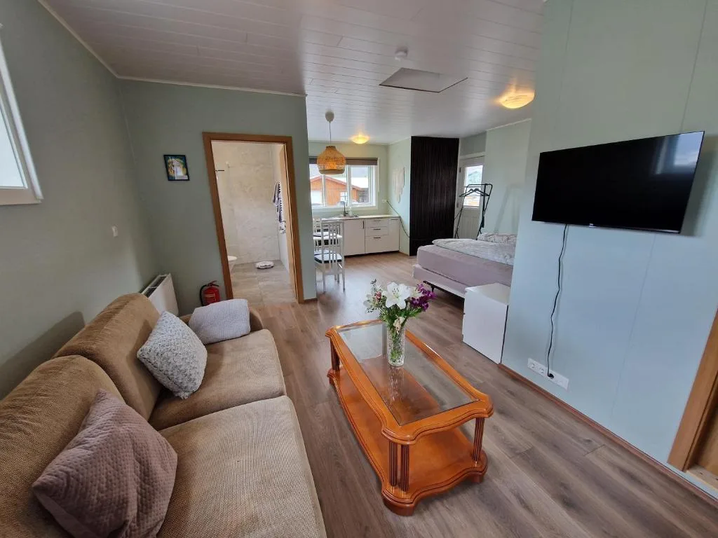 Cozy studio apartment