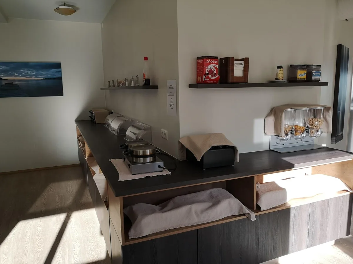 Puffin Hotel Vík