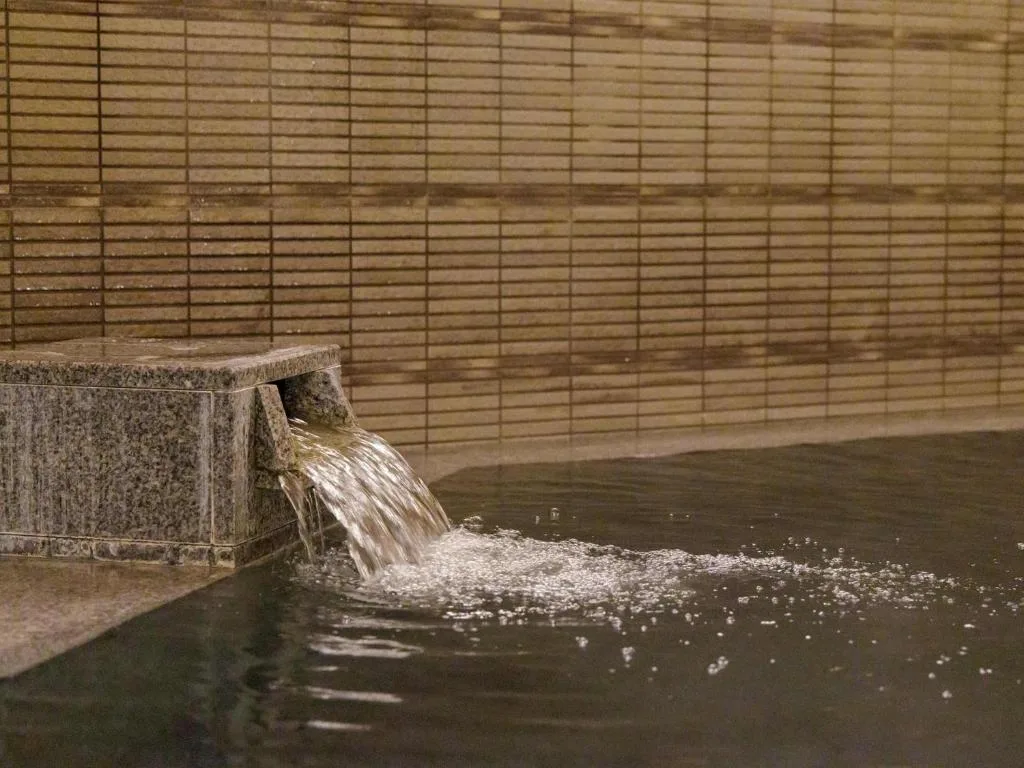Nishitetsu Inn Kokura — 3