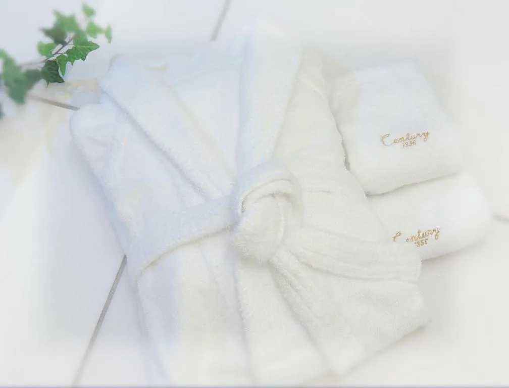 Odakyu Hotel Century Sagami Ono — 3