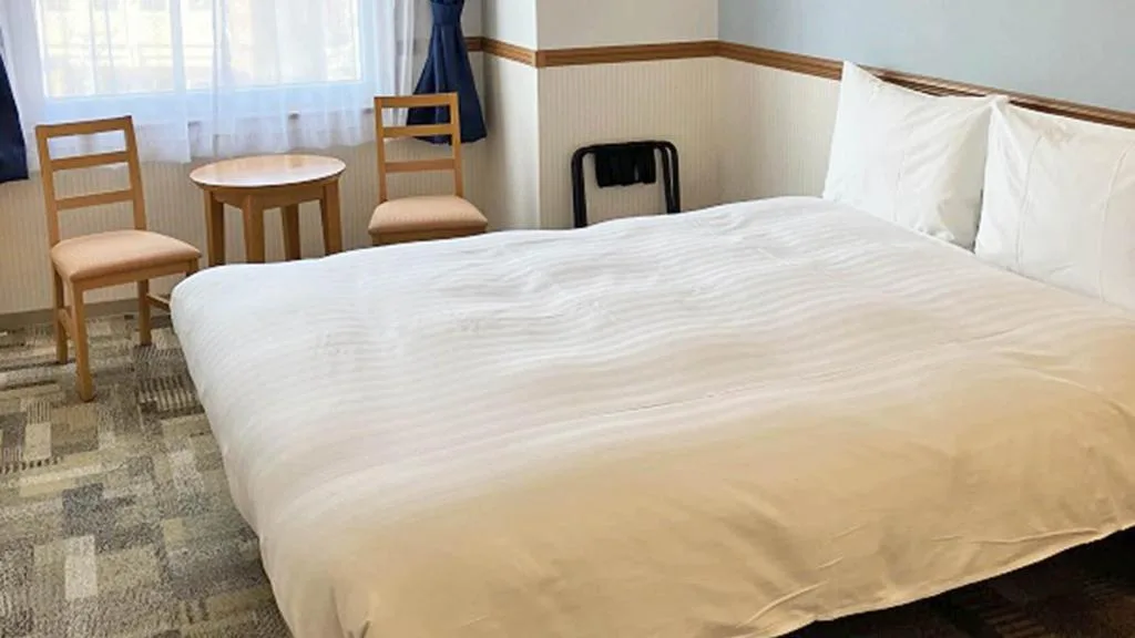 Toyoko Inn Toyama eki Shinkansen guchi No 1 — 3