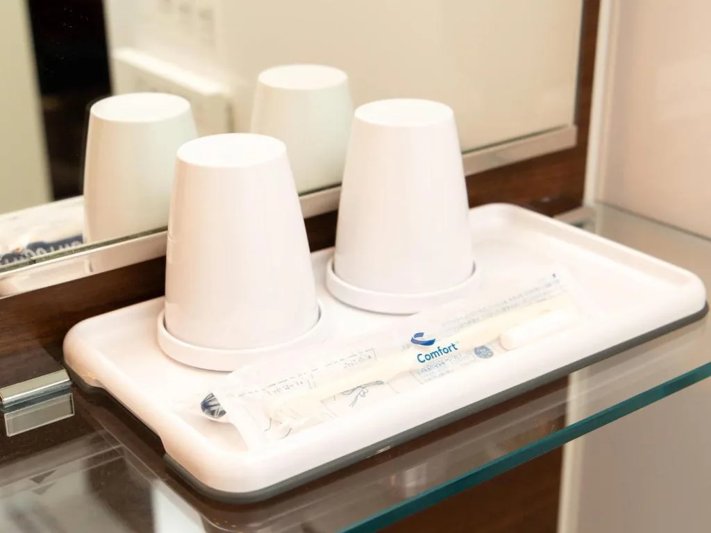 Comfort Hotel Toyohashi — 3