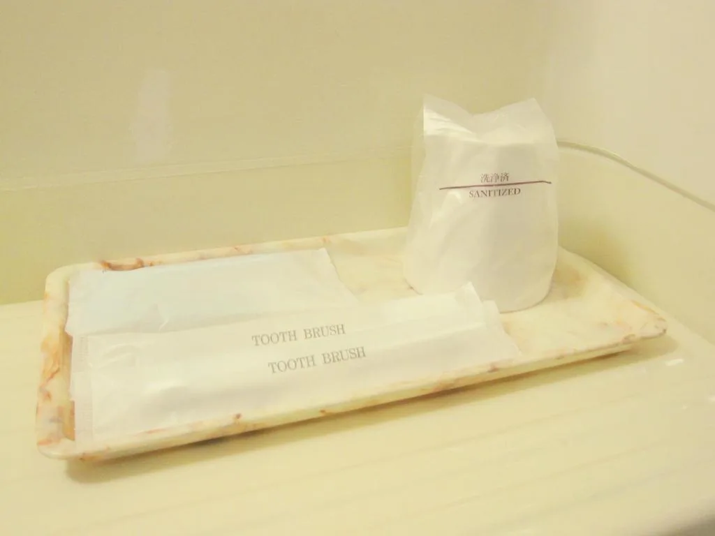 Toyohashi Station Hotel — 2