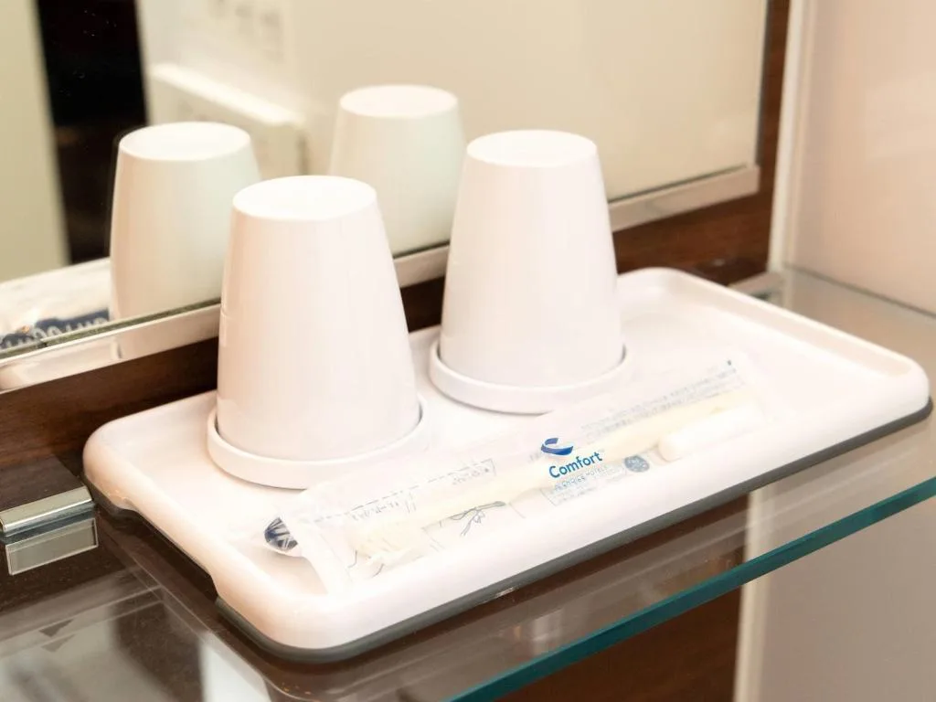 Comfort Inn Utsunomiya Kanuma — 3