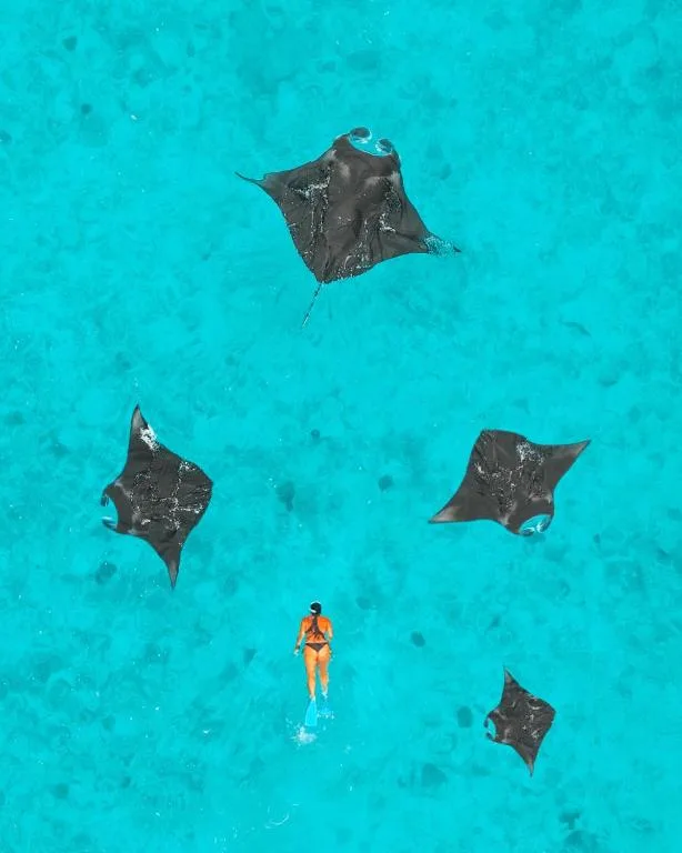NH Collection Maldives Reethi Resort — 3