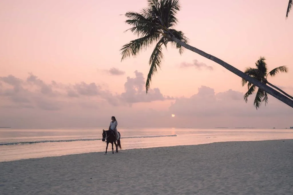 Siyam World Maldives - 24-Hour Premium All-inclusive with Free Transfer — 5