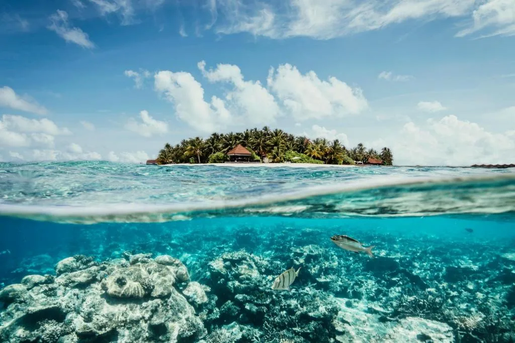 ROBINSON MALDIVES - Adults only