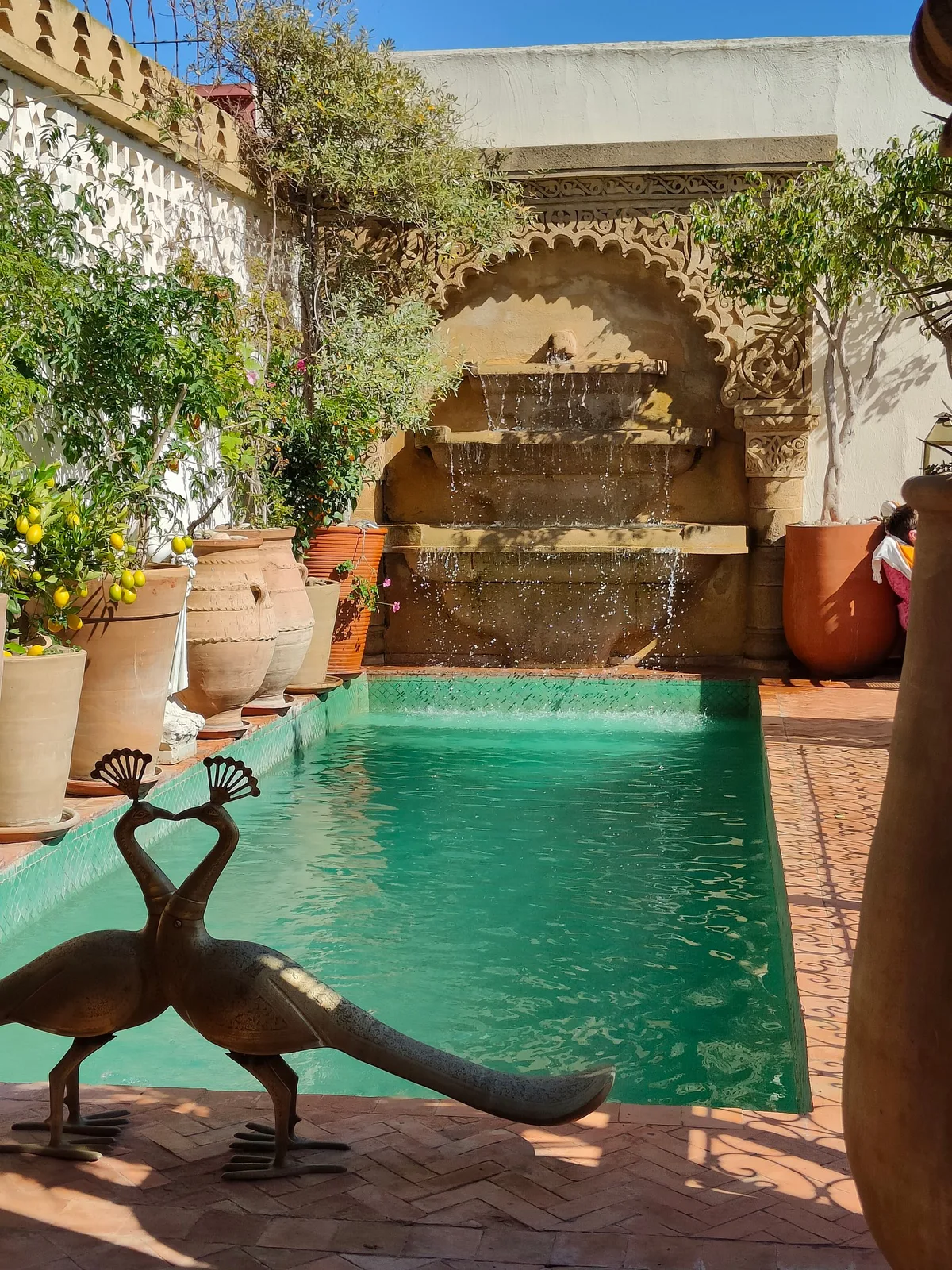 Riad Thamayna — 3