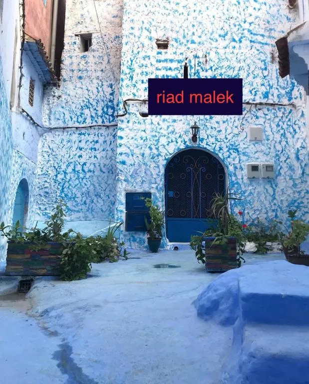 casa malek — 5