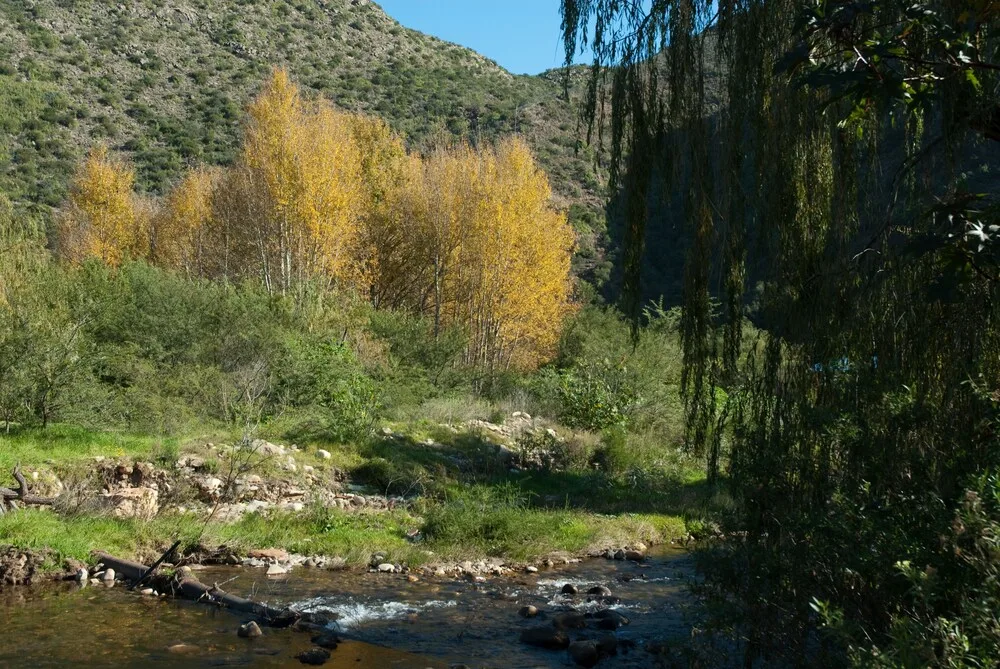 Old Mill Nature Lodge & Restaurant — 2