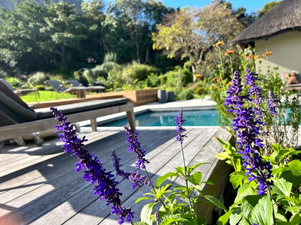The Thatch House Boutique Hotel, Hermanus — 4