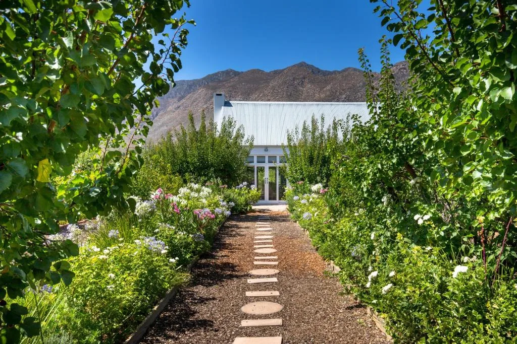 The Vineyard Country House — 5