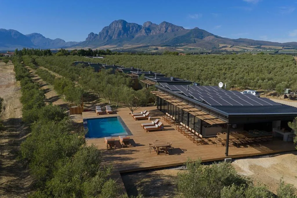 Olijvenkraal Winelands Lodge