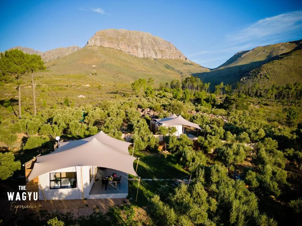 Wagyu Mountain Lodge — 5