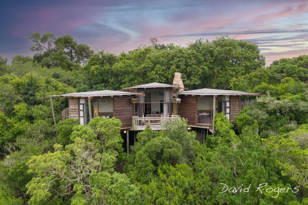 Tsala Treetop Lodge — 5