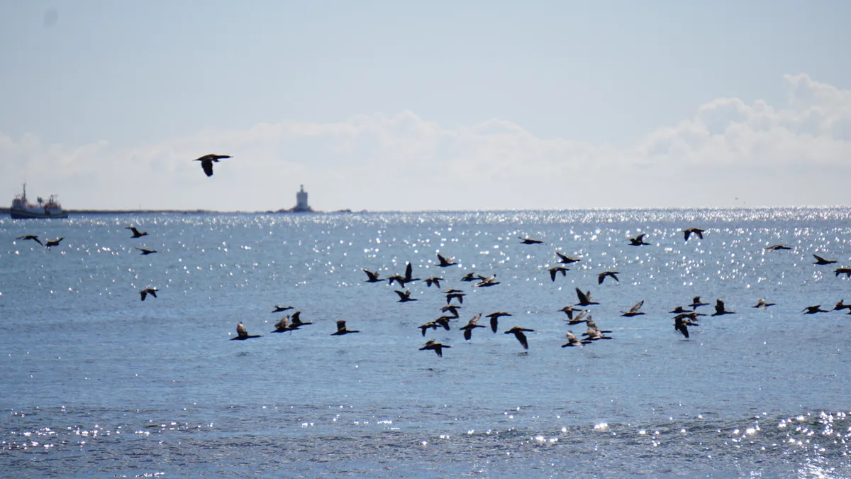 True North West Coast — 5