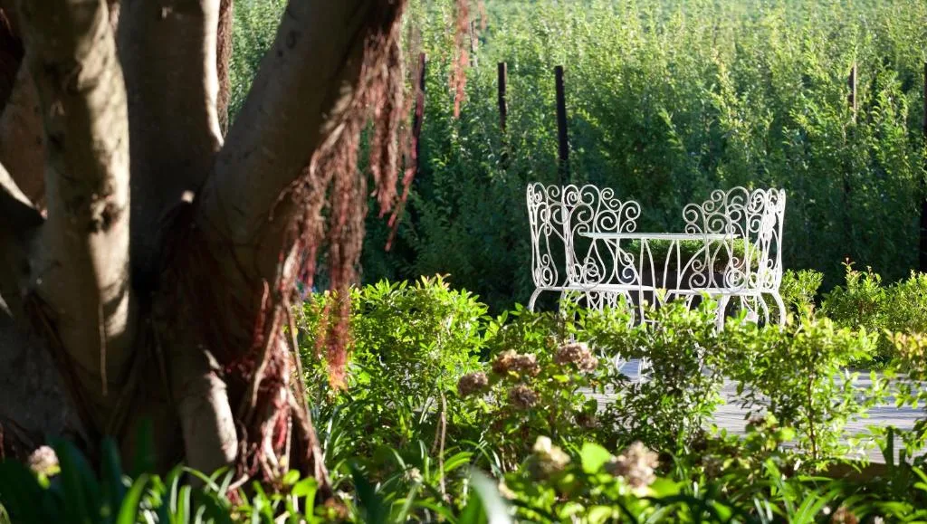 Brenaissance Wine & Stud Estate — 5