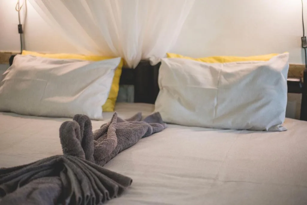 Thokozani Lodge — 5