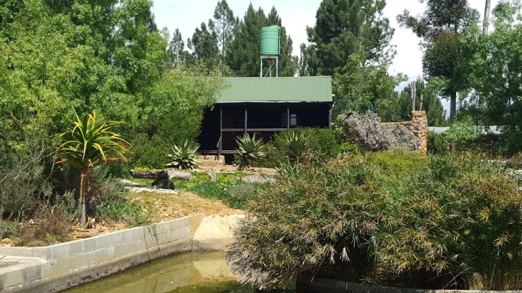 Fynbos Guest Farm