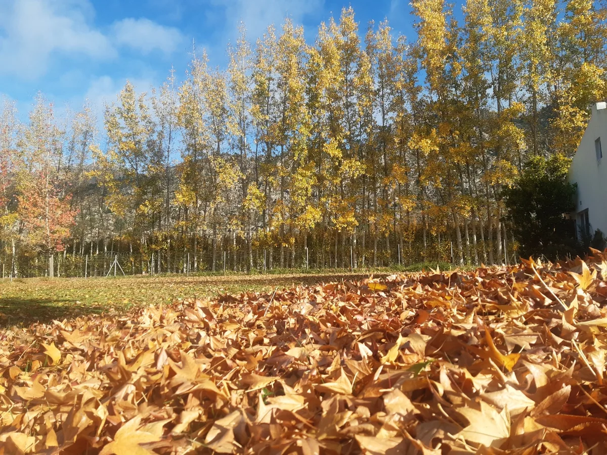 Rhodene Farm Cottages — 4