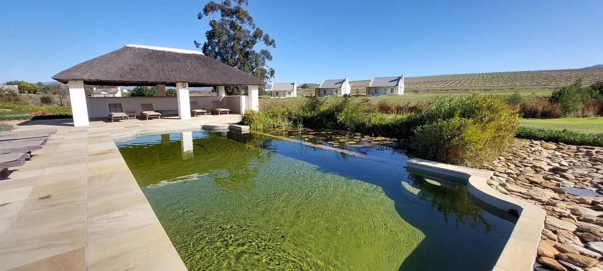 Rijk's Wine Estate & Guesthouse Tulbagh — 2