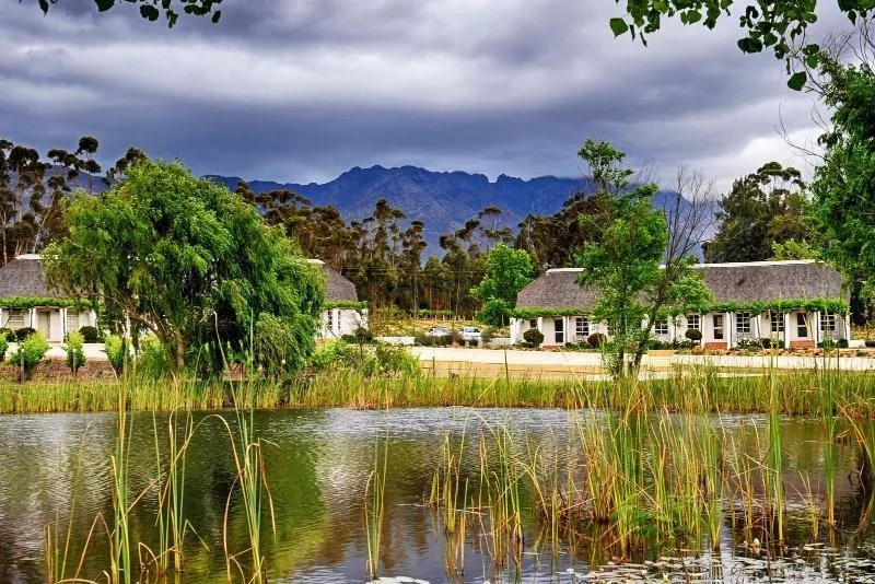 Rijk's Wine Estate & Guesthouse Tulbagh — 3