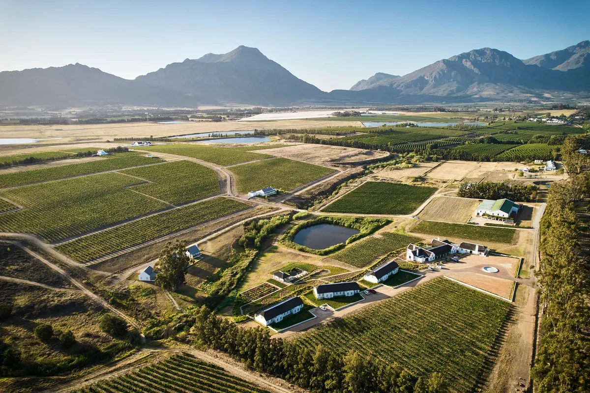 Rijk's Wine Estate & Guesthouse Tulbagh — 5